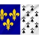 Brest Flag for Indoor & Outdoor Use - Imagine 2