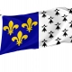 Brest Flag for Indoor & Outdoor Use - Imagine 1