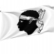 Corsica Flag for Indoor & Outdoor Use - Imagine 1