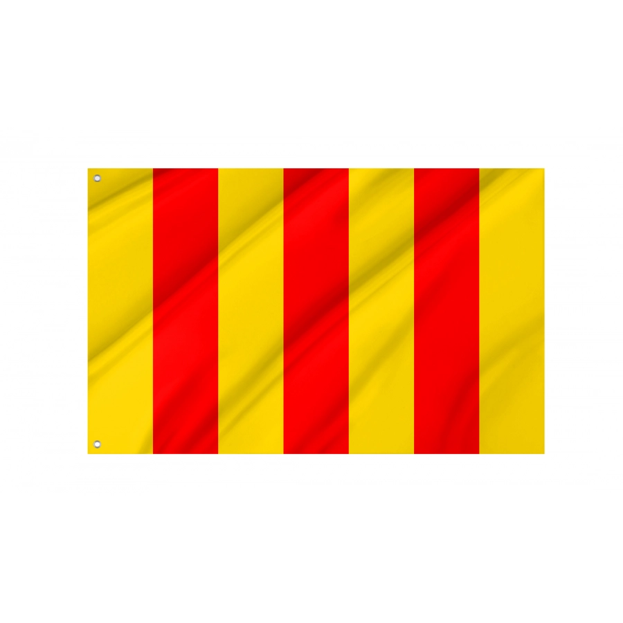 Flag Of County Of Foix In France, Patriotic Flags, Unique Design Print, Flags For Indoor & Outdoor Use - High Quality France for Indoor and Outdoor Use