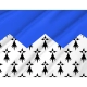 Côtes d'Armor Flag for Indoor & Outdoor Use - Imagine 2