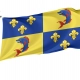 Dauphin Flag for Indoor & Outdoor Use - Imagine 1