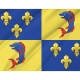Dauphin Flag for Indoor & Outdoor Use - Imagine 2