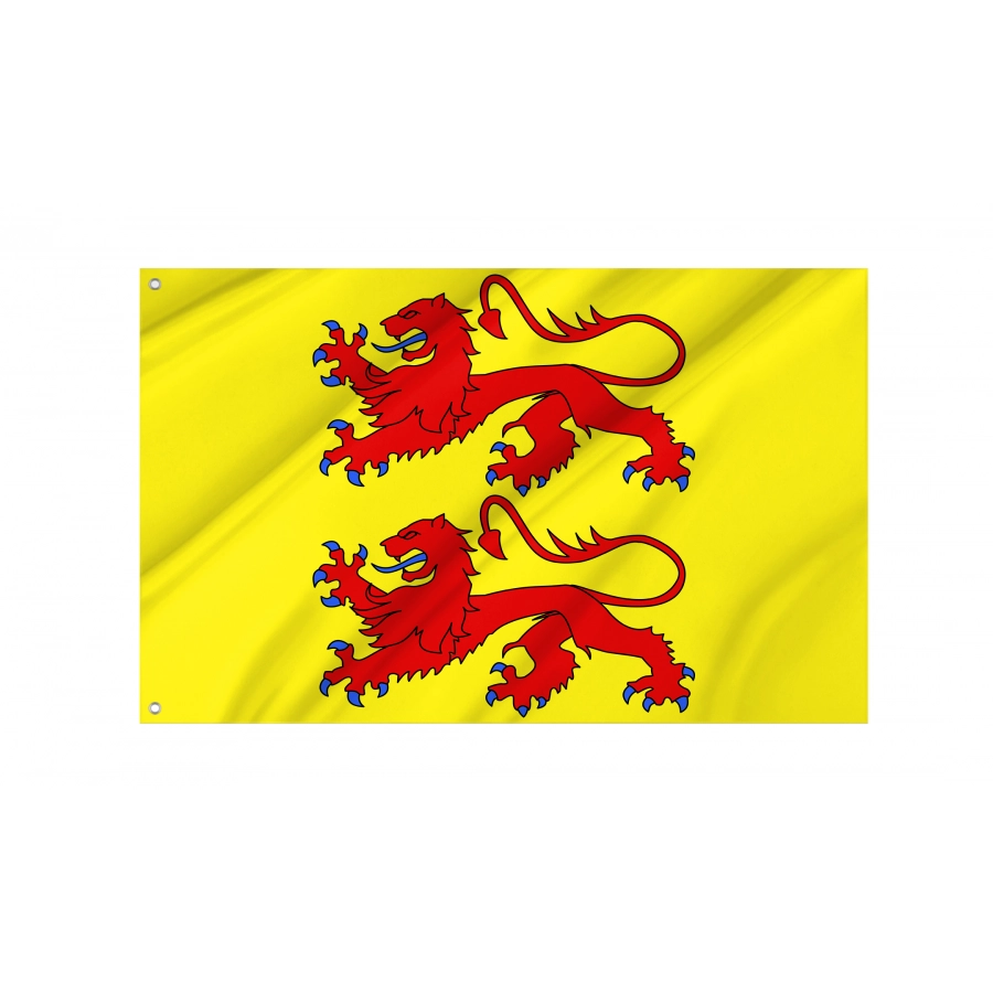 Flag Of French Departement Hautes-Pyrénées, Patriotic Flags, Unique Design Print, Flags For Indoor & Outdoor Use - High Quality France for Indoor and Outdoor Use
