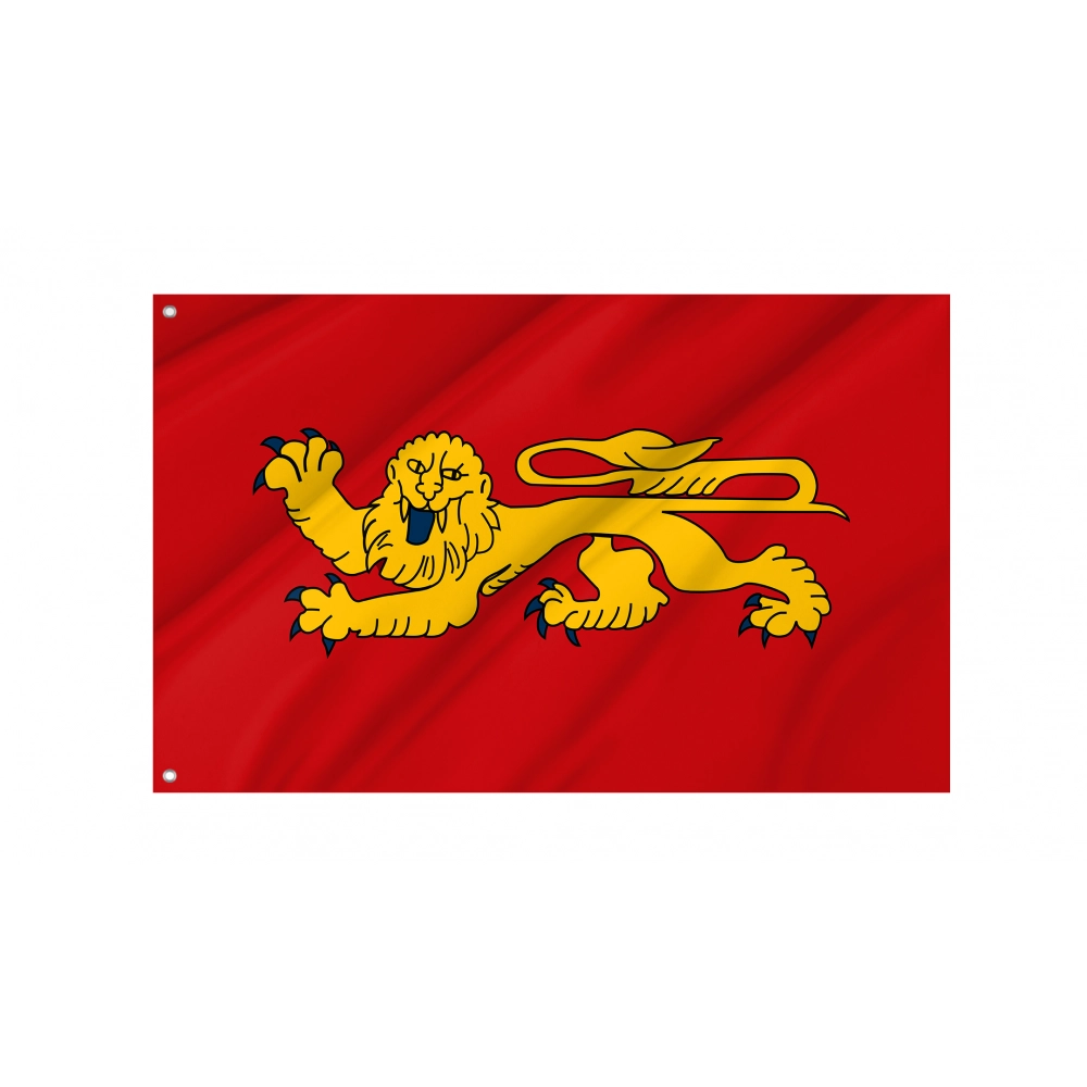 Aquitaine Flag for Indoor & Outdoor Use Aquitaine Flag for Indoor & Outdoor Use
