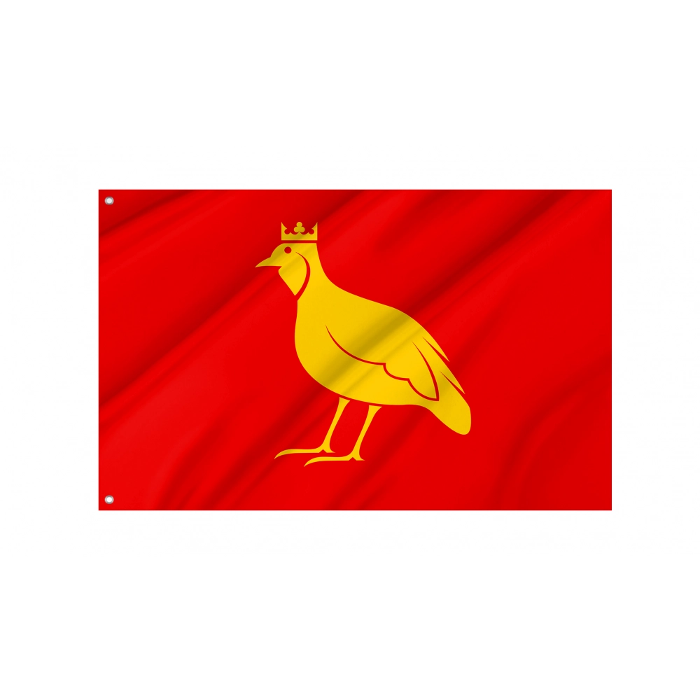 Aunis Flag for Indoor & Outdoor Use