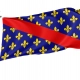 Bourbonnais Flag for Indoor & Outdoor Use - Imagine 1