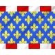 Indre et Loire Flag for Indoor & Outdoor Use - Imagine 2
