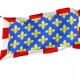 Indre et Loire Flag for Indoor & Outdoor Use - Imagine 1
