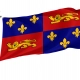 Landes Flag for Indoor & Outdoor Use - Imagine 1