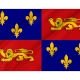 Landes Flag for Indoor & Outdoor Use - Imagine 2