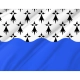 Morbihan Flag for Indoor & Outdoor Use - Imagine 2