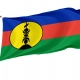New Caledonia Flag for Indoor & Outdoor Use - Imagine 1