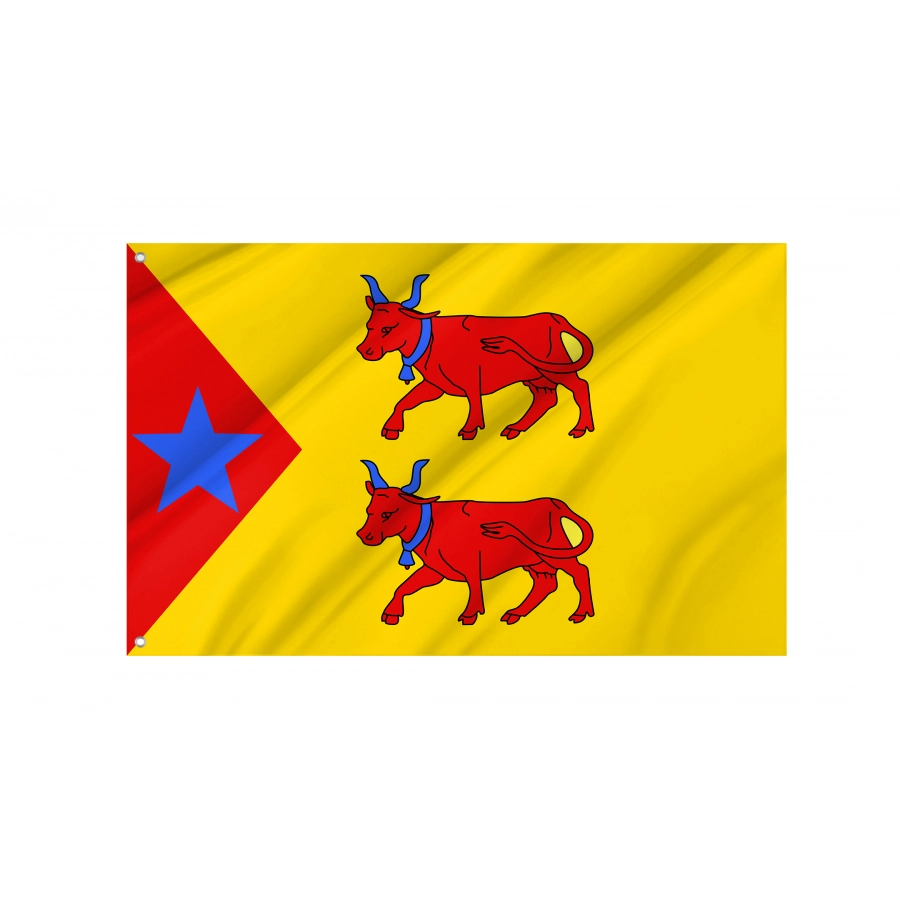 Flag Of Principality Of Laàs, Patriotic Flags, Unique Design Print, Flags For Indoor & Outdoor Use - High Quality France for Indoor and Outdoor Use