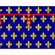 County of Artois Flag for Indoor & Outdoor Use - Imagine 2