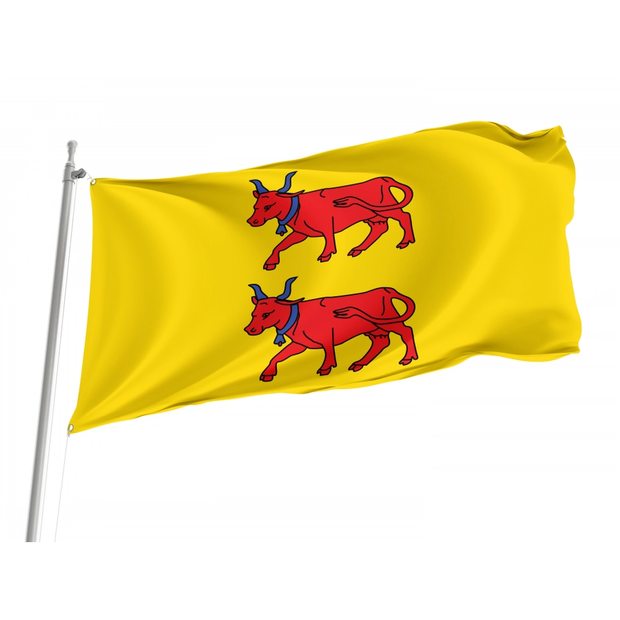 Flag Of Region Béarn In France, Patriotic Flags, Unique Design Print, Flags For Indoor & Outdoor Use - High Quality France for Indoor and Outdoor Use
