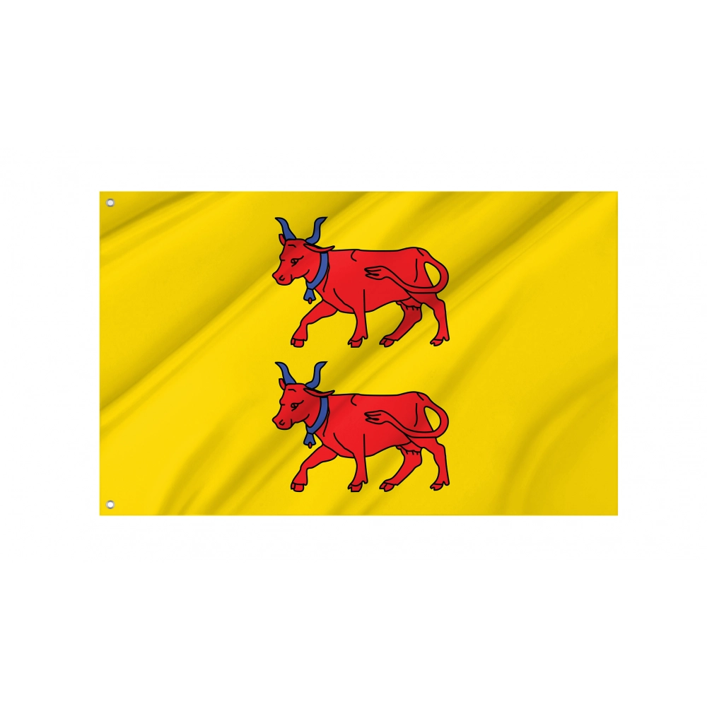 Béarn Flag for Indoor & Outdoor Use