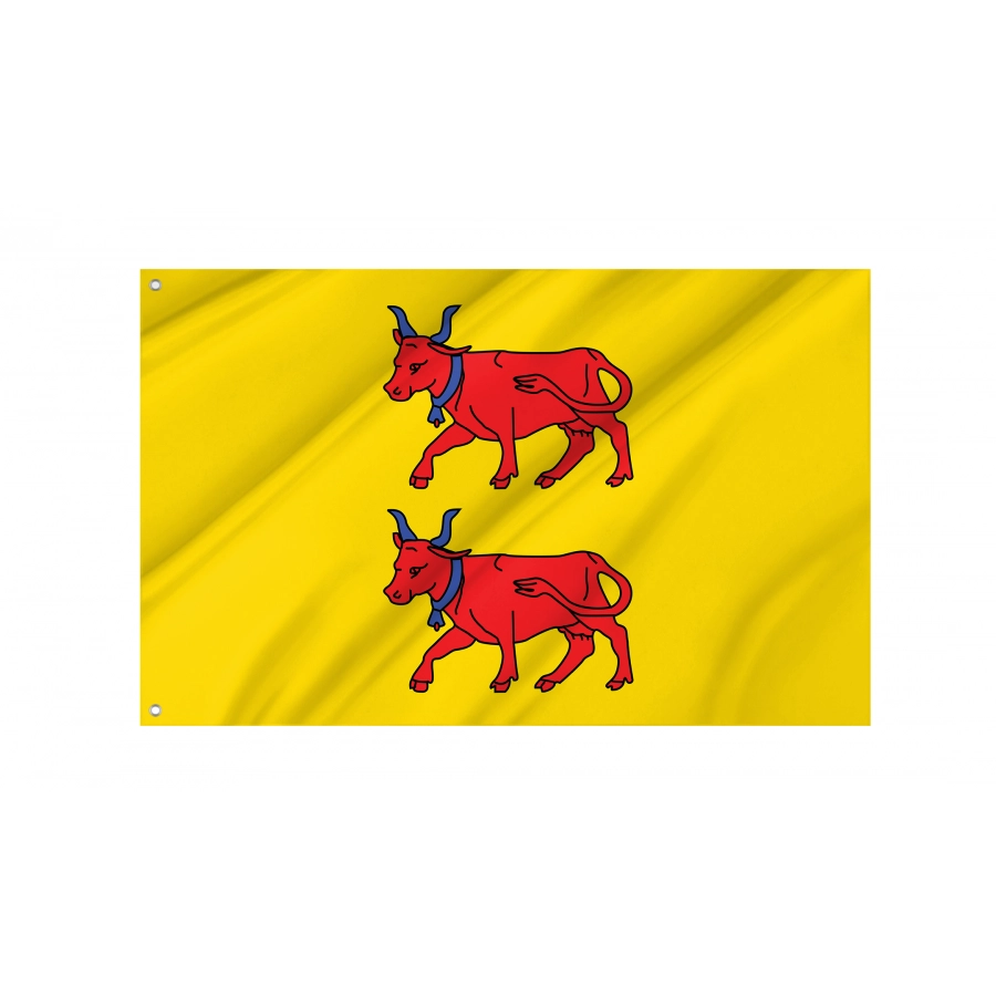 Flag Of Region Béarn In France, Patriotic Flags, Unique Design Print, Flags For Indoor & Outdoor Use - High Quality France for Indoor and Outdoor Use