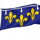 Orléanais Flag for Indoor & Outdoor Use - Imagine 1