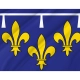 Orléanais Flag for Indoor & Outdoor Use - Imagine 2