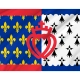 Flag of Region Pays-de-la-Loire in France, Patriotic Flags, Unique Design Print, Flags for Indoor & Outdoor Use - Imagine 2