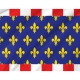 Touraine Flag for Indoor & Outdoor Use - Imagine 2