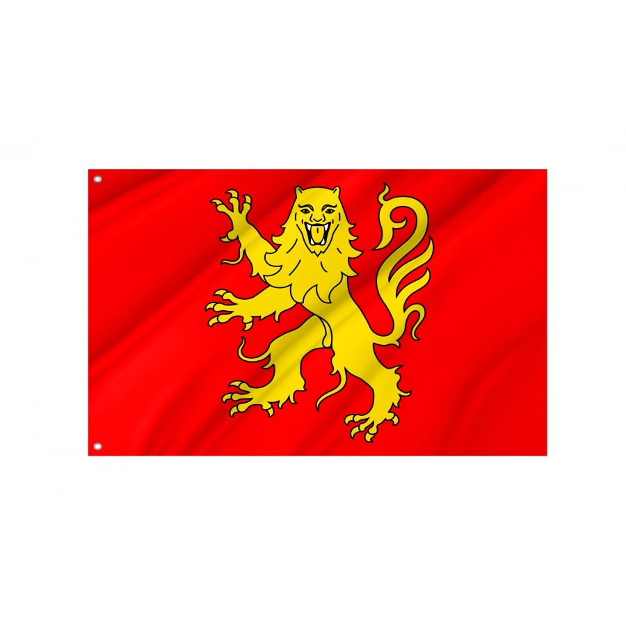 Flag Of Rouergue, Patriotic Flags, Unique Design Print, Flags For Indoor & Outdoor Use - High Quality France for Indoor and Outdoor Use