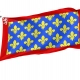 Sarthe Flag for Indoor & Outdoor Use - Imagine 1