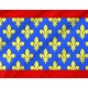 Sarthe Flag for Indoor & Outdoor Use - Imagine 2