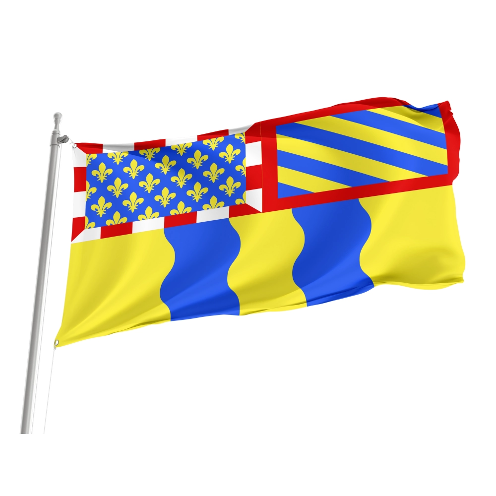 Saône et Loire Flag for Indoor & Outdoor Use