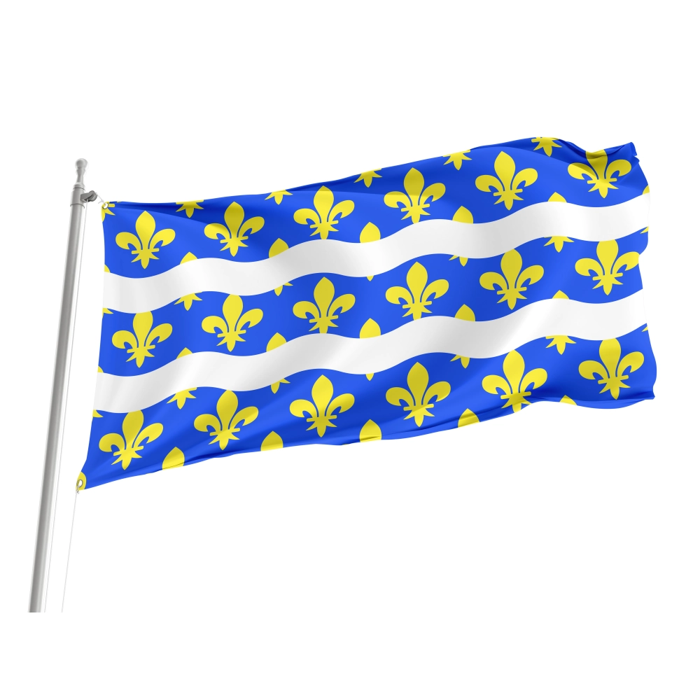 Seine et Marne Flag for Indoor & Outdoor Use
