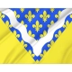 Val de Marne Flag for Indoor & Outdoor Use - Imagine 2