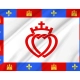 Traditional Flag of Vendée for Indoor & Outdoor Use - Imagine 2