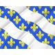Yvelines Flag for Indoor & Outdoor Use - Imagine 2