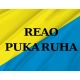Reao Pukaruha Flag for Indoor & Outdoor Use - Imagine 2