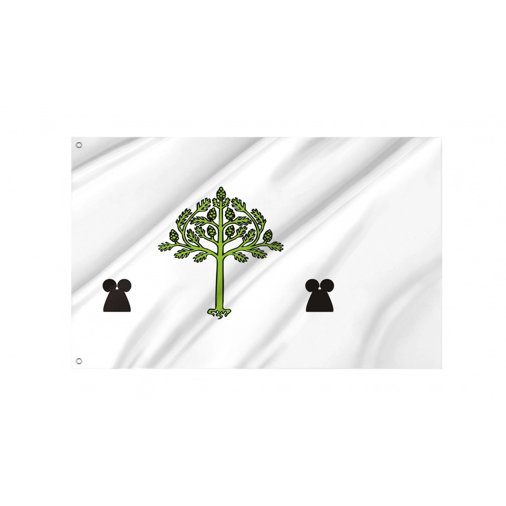 Picamoixons Flag for Indoor & Outdoor Use