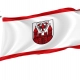Cottbus Flag for Indoor & Outdoor Use - Imagine 1