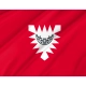 Kiel Flag for Indoor & Outdoor Use - Imagine 2