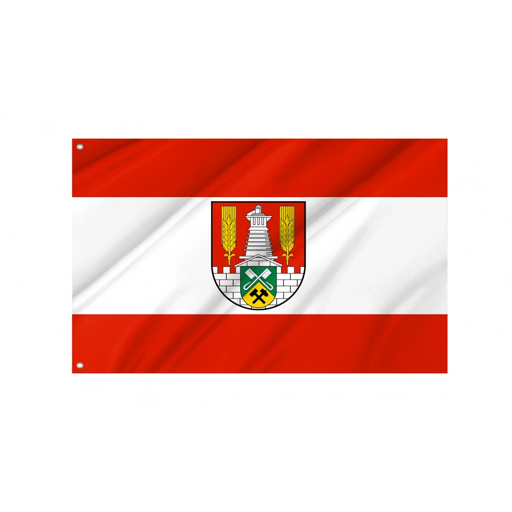 Salzgitter Flag for Indoor & Outdoor Use