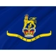 Governor-General of Guyana 1966-1970 Flag for Indoor & Outdoor Use - Imagine 2