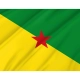 French Guiana Flag - Imagine 2