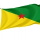 French Guiana Flag - Imagine 1
