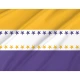 19th Amendment Victory Flag - Imagine 2