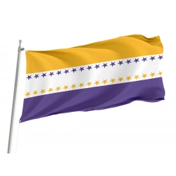 19th Amendment Victory Flag for Indoor & Outdoor Use