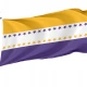 19th Amendment Victory Flag - Imagine 1