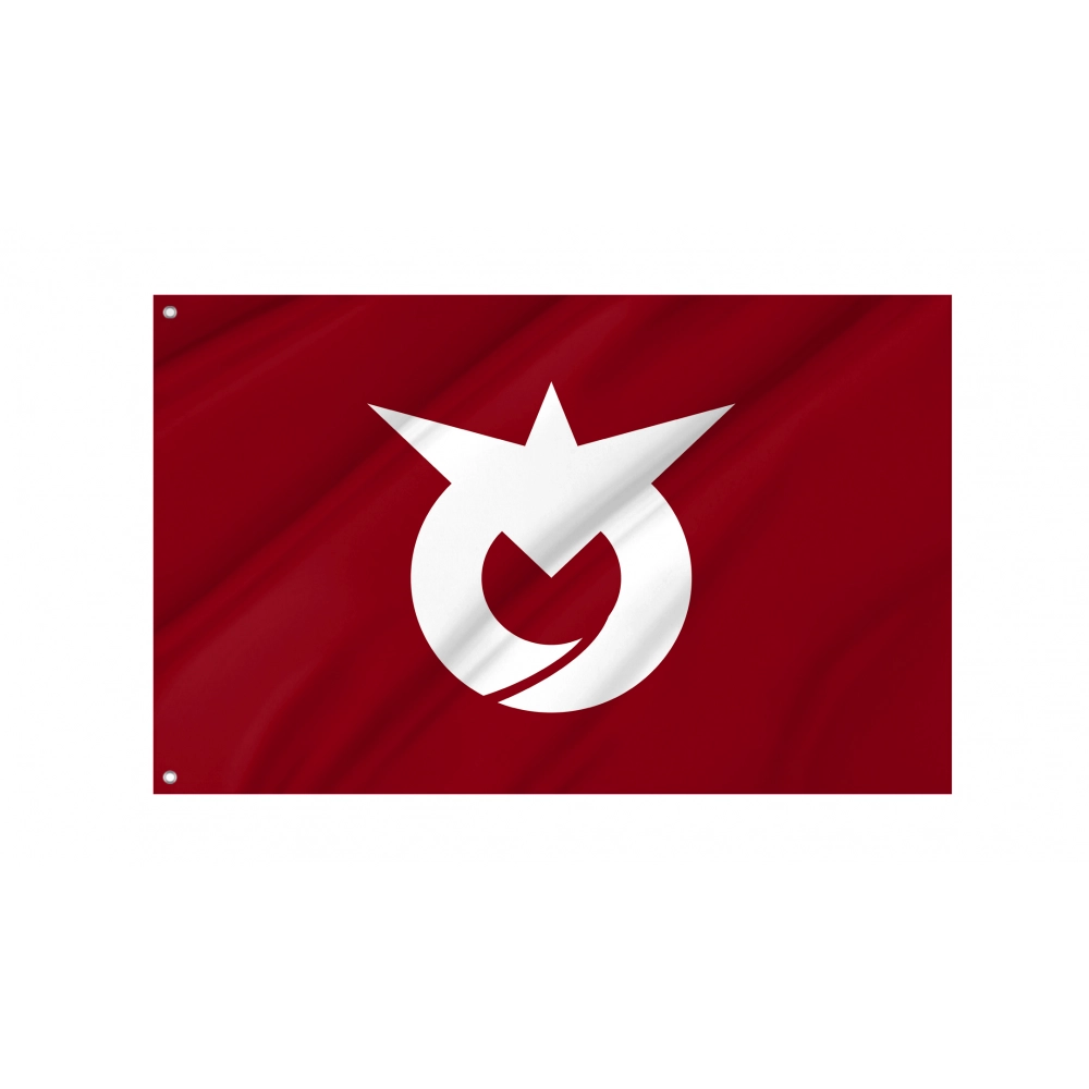 Aikawa, Akita 1956-2005 Flag for Indoor & Outdoor Use