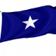 Bonnie Blue Flag for Indoor & Outdoor Use - Imagine 1