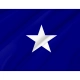 Bonnie Blue Flag for Indoor & Outdoor Use - Imagine 2