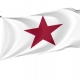 Californian Lone Star 1836 Flag for Indoor & Outdoor Use - Imagine 1