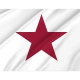 Californian Lone Star 1836 Flag for Indoor & Outdoor Use - Imagine 2